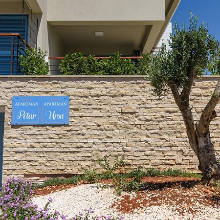 Apartament Ursa *
